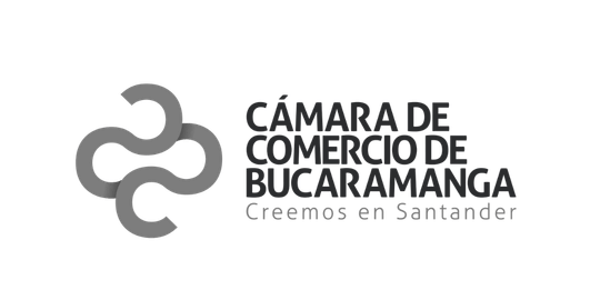 Cliente camara de comercio de bucaramanga