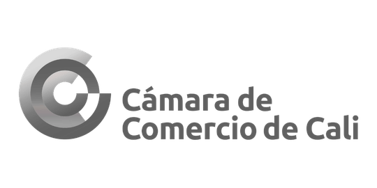 Cliente camara de comercio de cali