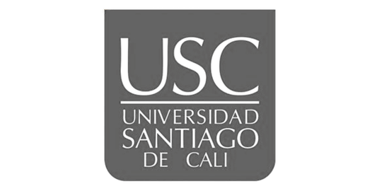 Cliente universidad santiago de cali