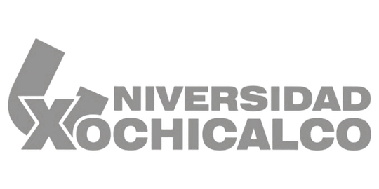 Cliente unversidad xochicalco